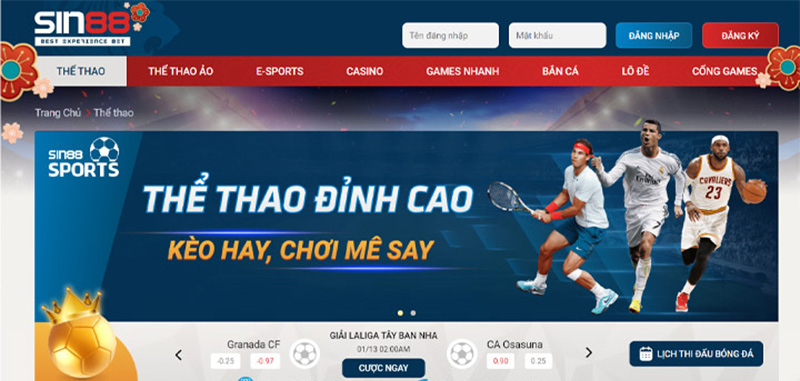 Top 7 trang bóng đá cá độ khuyến mãi, trả thưởng uy tín nhất 2023 