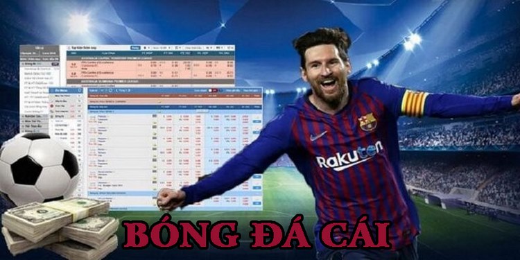 Bóng đá cái là gì? Kinh nghiệm soi kèo bóng đá bất bại từ chuyên gia