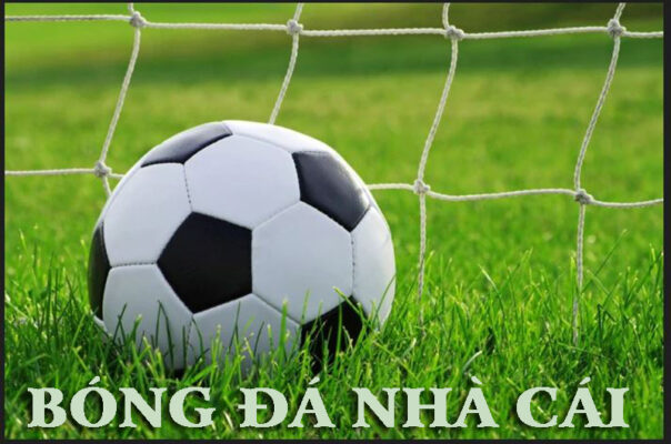 Học ngay 7 cách soi kèo bóng đá nhà cái chuẩn từ cao thủ