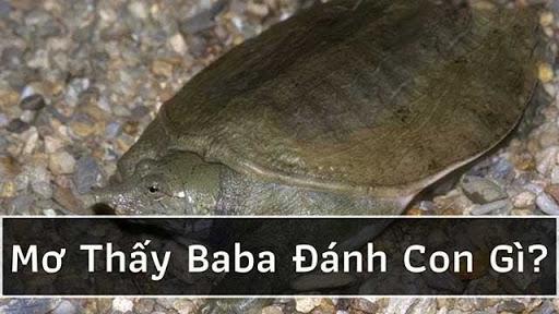 Mơ thấy ba ba đánh con gì? Giấc mơ báo điềm lành hay dữ