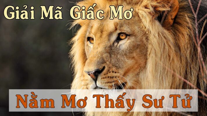 Giải mã giấc thấy sư tử đánh con nào?