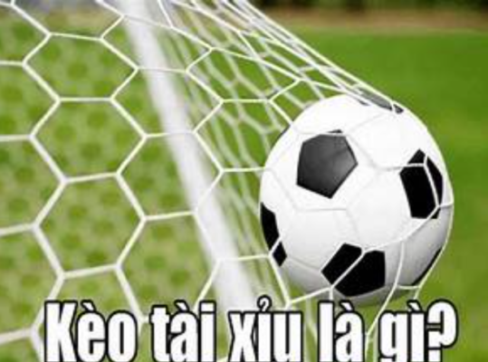 Mẹo chơi kèo tài xỉu chuẩn nhất từ các cao thủ 1 Mẹo chơi kèo tài xỉu chuẩn nhất từ các cao thủ