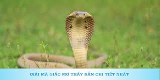 Luận giải chi tiết giấc mơ thấy rắn cho anh em cần 1 Luận giải chi tiết giấc mơ thấy rắn cho anh em cần