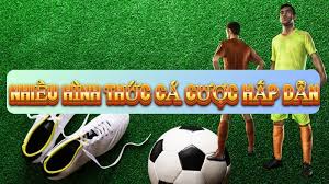 Giới thiệu thông tin về kèo chẵn lẻ cho các tân thủ