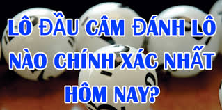 Kinh nghiệm ghép số khi có nhiều đầu câm