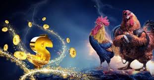 Game chơi Siêu phẩm đá gà Sin88 hấp dẫn 1 Game chơi Siêu phẩm đá gà Sin88 hấp dẫn